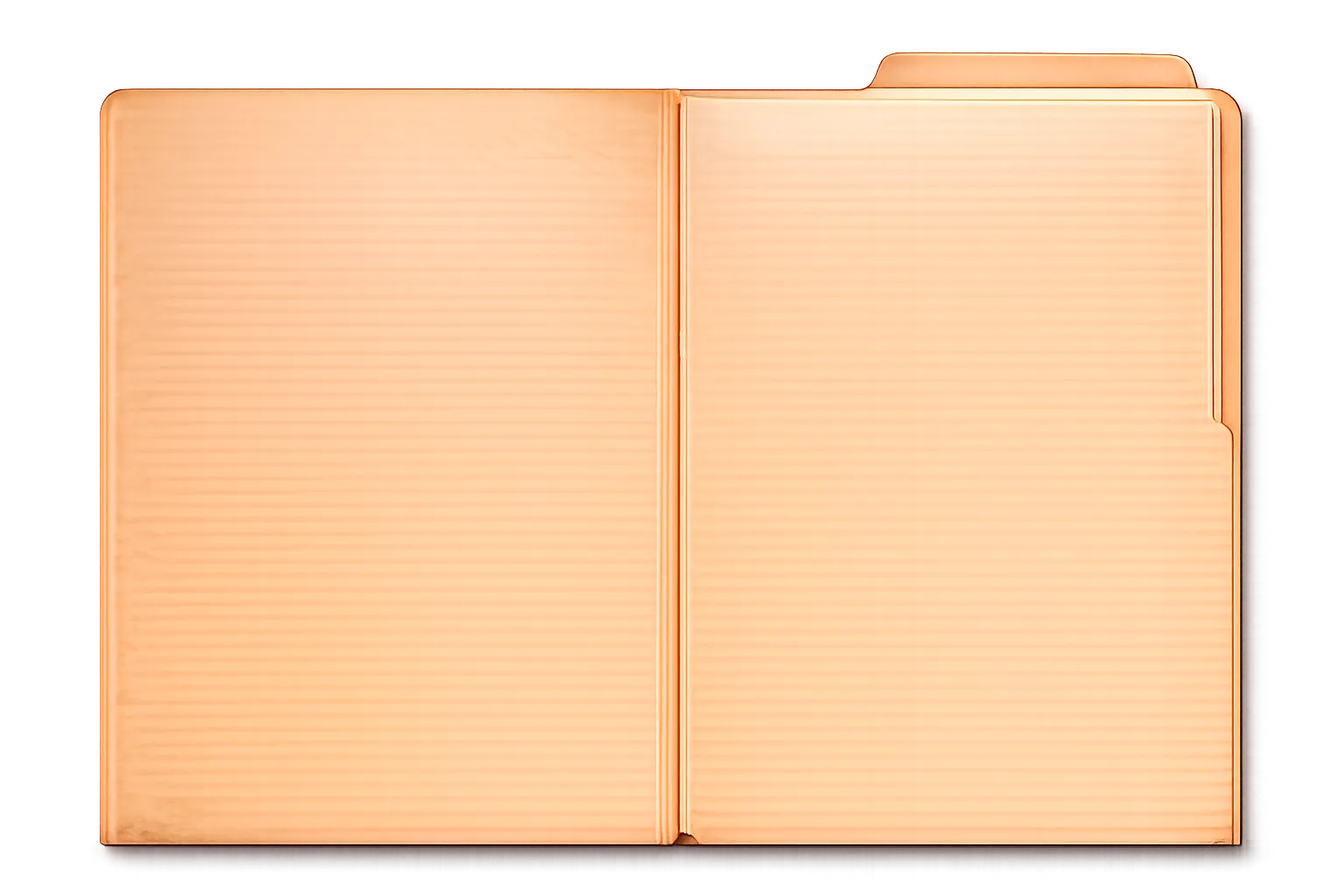 Manila case folder